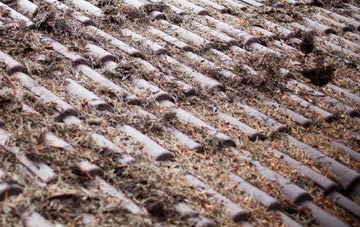 Longslow roof cleaning companies