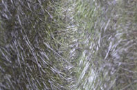 Longslow fibreglass roof work